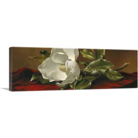 A Magnolia On Red Velvet Panoramic