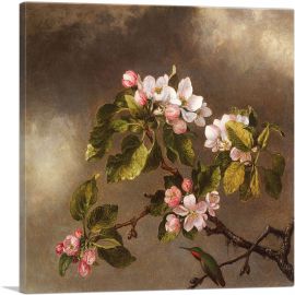 Hummingbird and Apple Blossoms 1875-1-Panel-26x26x.75 Thick