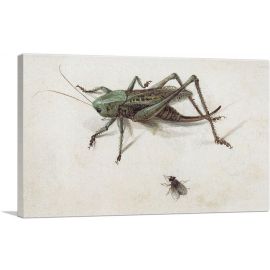 A Grasshopper Beneath Which a Fly 1580