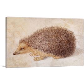A Hedgehog 1584