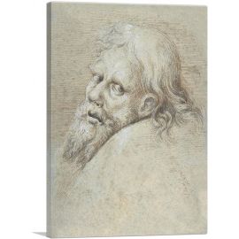Head Of a Bearded Man 1579