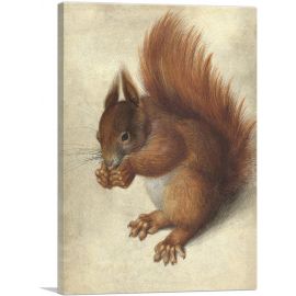 Red Squirrel 1578