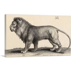 A Lion Standing