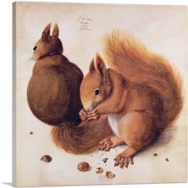 Squirrels 1512