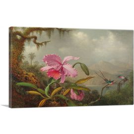 Orchids and Hummingbirds 1890