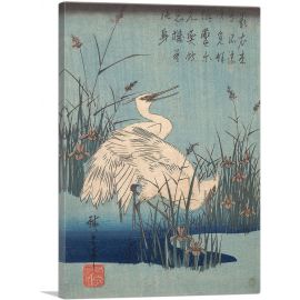Egret in Iris and Grasses 1837