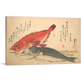 Isaki and Kasago Fish
