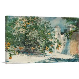 Orange Trees and Gate 1885