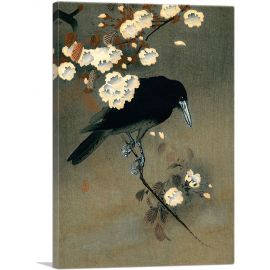 Crow and Blossom 1910