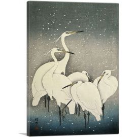 Five White Herons Standing in Water Under Snow