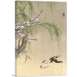 Two Barn Swallows in Flight With Willow Branch and Flowering Cherry
