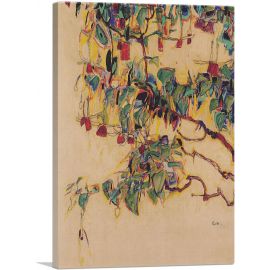 Fuchsia - Sonnenbaum 1910
