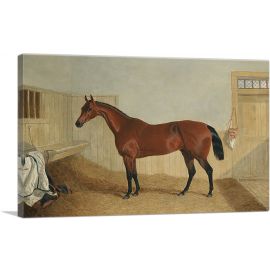 William Orde's Bay Filly Beeswing in a Stable