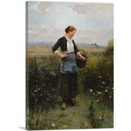Daydreaming in a Field With Basket