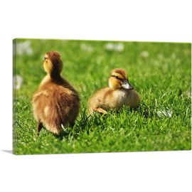 Ducklings In Yard Home decor