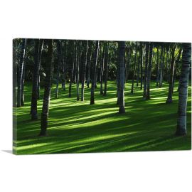 Exotic Forest Home Decor Rectangle