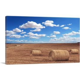 Field Agriculture Home decor
