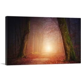 Forest Way Sunset Home decor
