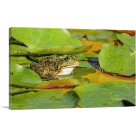 Frog On Lotus Home decor