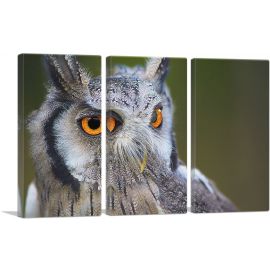 Owl Portrait In Woods Home decor-3-Panels-90x60x1.5 Thick