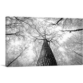 Tall Tree Branches Home Decor Rectangle