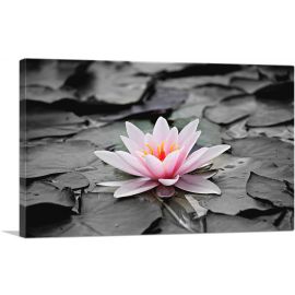 Water Lily Lotus Home Decor Rectangle