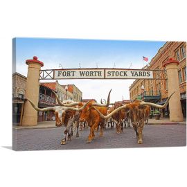 Fort Worth Longhorn Steers Texas Bulls Stock Yards