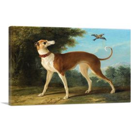 Greyhound In a Landscape 1746