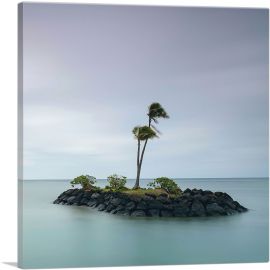 Tiny Island with Two Palm Trees in Honolulu Hawaii Square