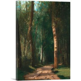 Driveway In a Forest 1859