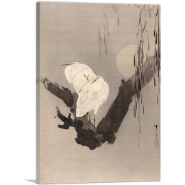 Egrets In a Tree At Night