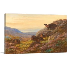 When The Gloaming Comes Red Grouse 1912