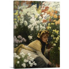 Chrysanthemums 1875