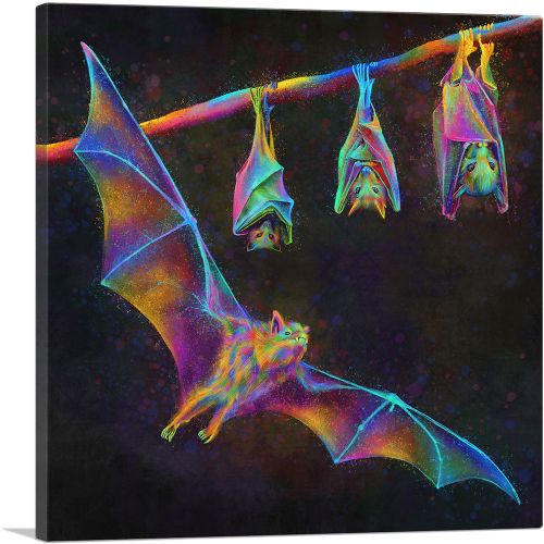 Bat Chiroptera Flying Hanging