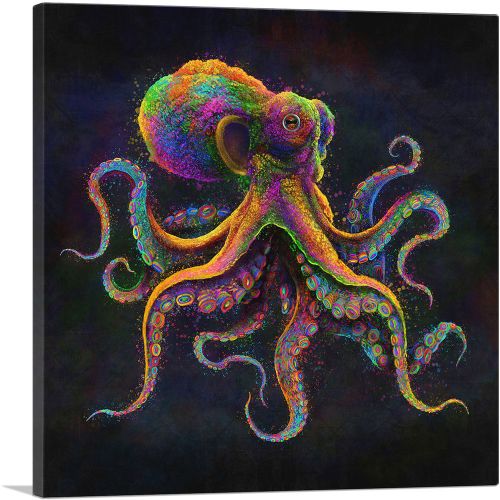 Octopus Animal Tentacles Sea Ocean