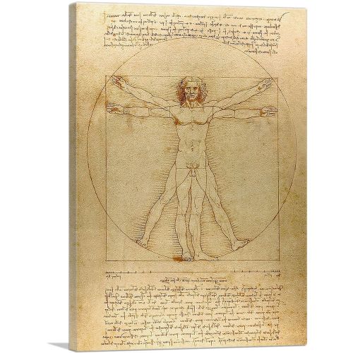 The Vitruvian Man 1485