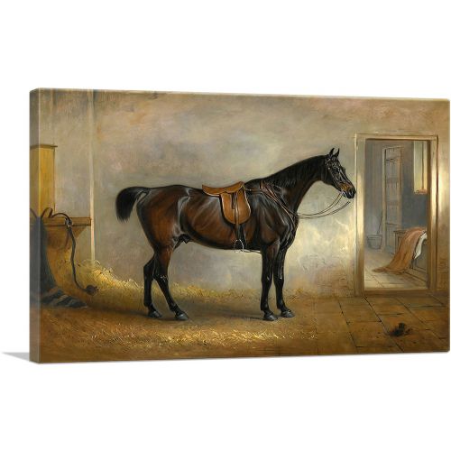 A saddled Dark Bay Hunter in a Loose Box 1848