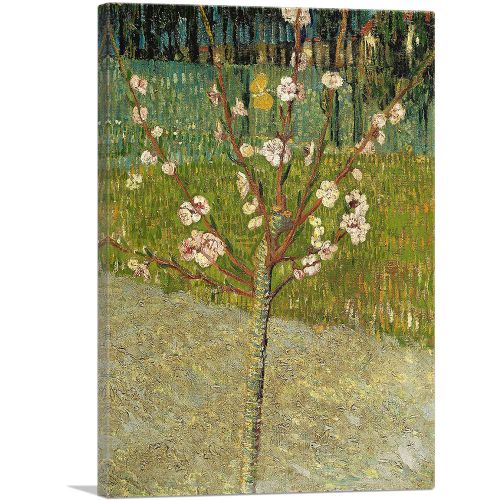 Almond Tree in Blossom 1888