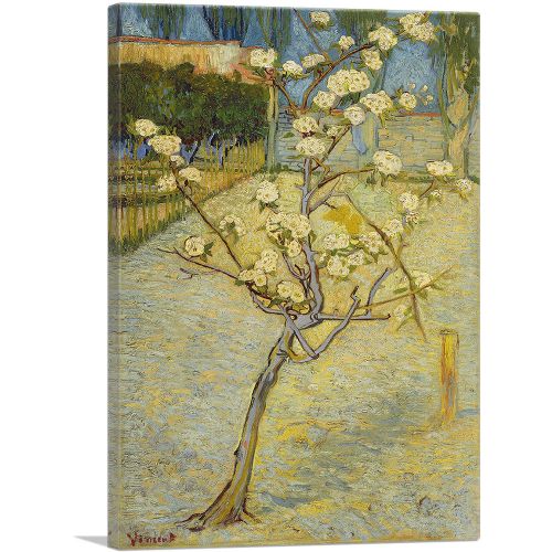 Small Pear Tree in Blossom 1888
