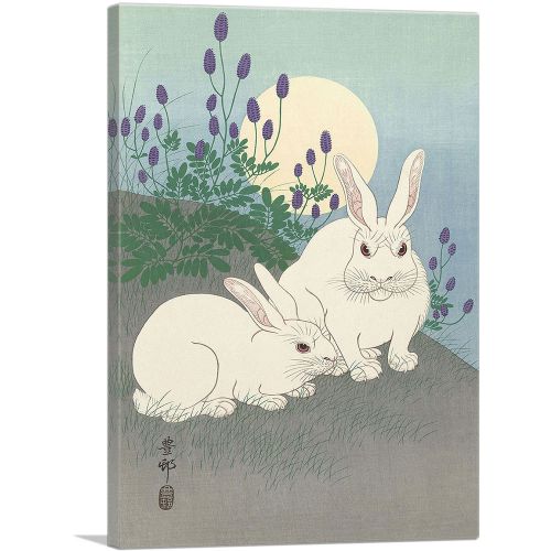 Rabbits and the Moon