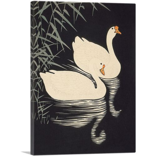 White Chinese Geese Swimming by Reeds