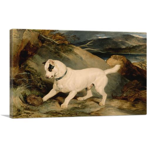 Portrait of a Terrier 1858