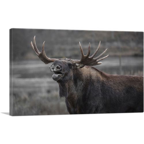 Alaskan Moose Home Decor Rectangle