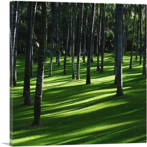 Exotic Forest Home Decor Square