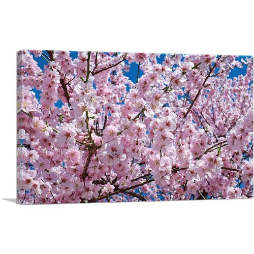 Orchard Tree Blossoms Home Decor Rectangle
