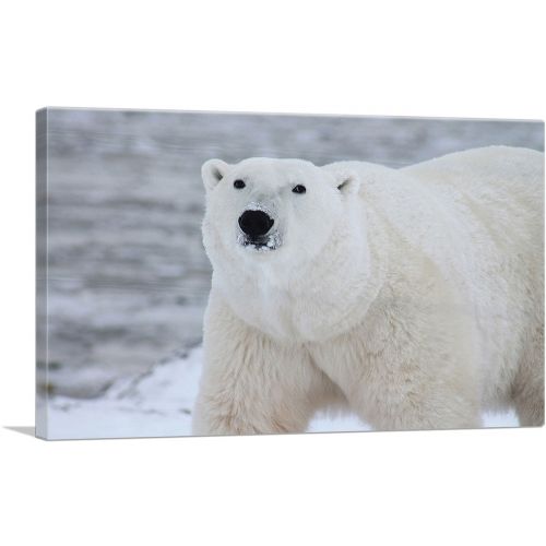 Polar Bear Home decor