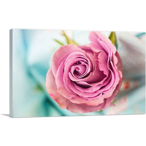 Rose With Leaves Home decor