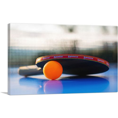 Table Tennis Orange Ping Pong Ball Racket