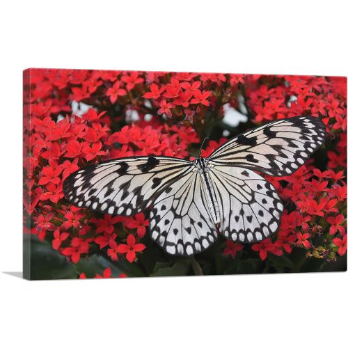 Butterfly On Red Flowers Home decor