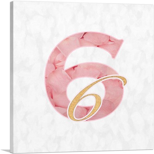 Chic Pink Gold Alphabet Number 6 Six Numeral